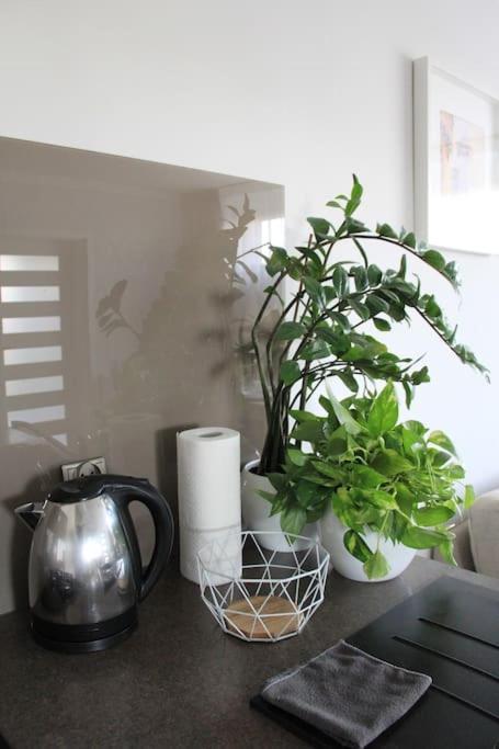 Uroczy, Jasny Apartament Oraz Bezplatny Parking! *