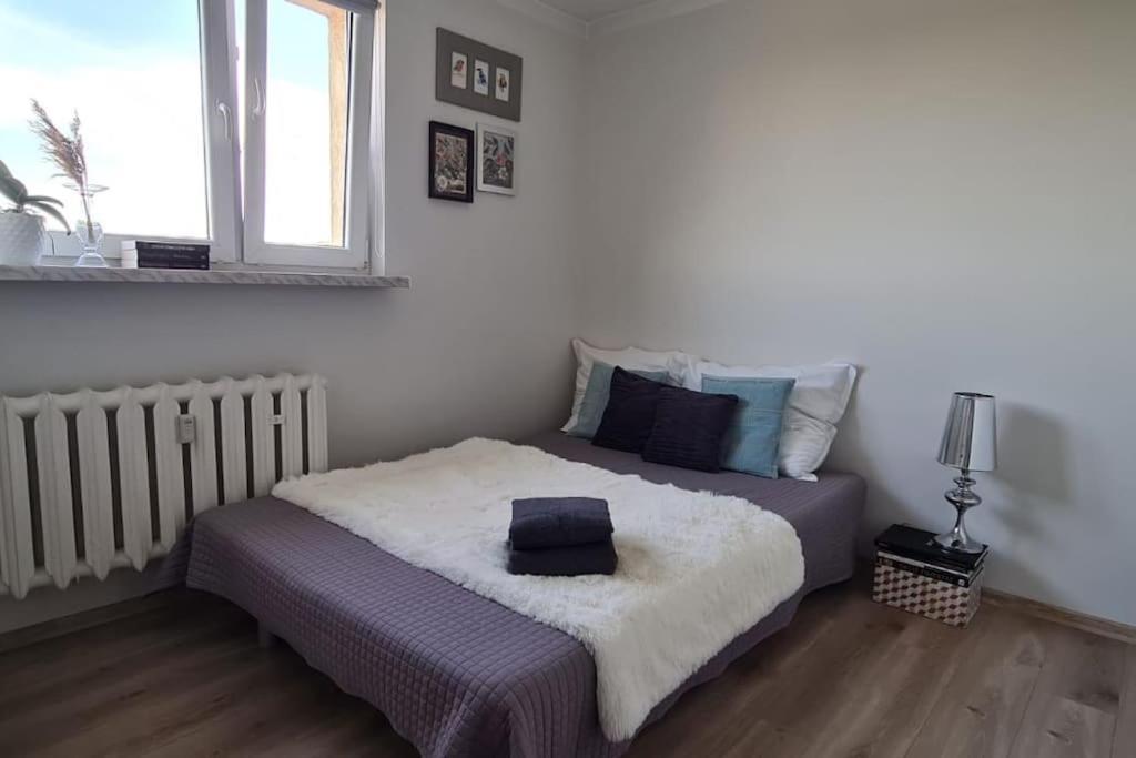 Uroczy, Jasny Apartament Oraz Bezplatny Parking! Apartment Krakau